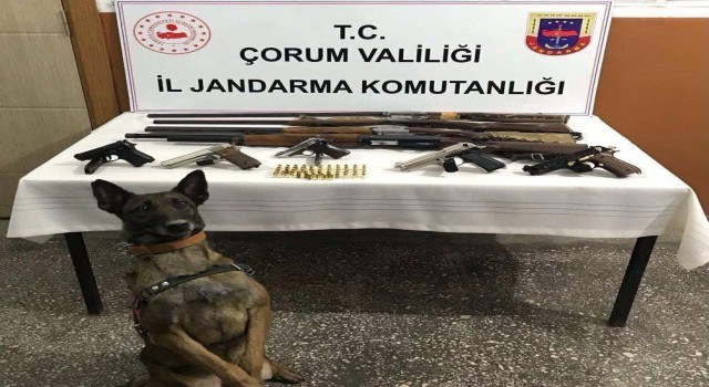 Çorum'da Jandarmadan ruhsatsız silah operasyonu