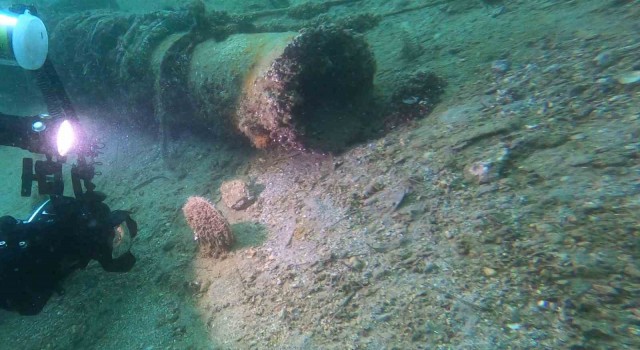 Marmarada yeni müsilaj savaşçıları doğuyor
