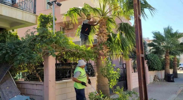 Mutta park ve bahçelerin kışlık bakımı devam ediyor