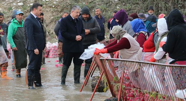 Osmaniye Valisi ve İl Tarım Müdürü, Tarım İşletmelerini Ziyaret Etti