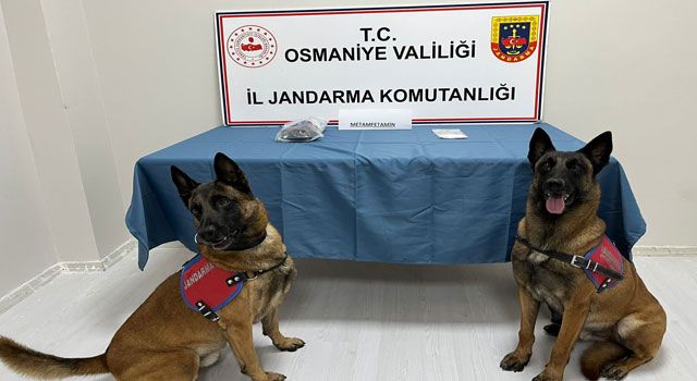 Osmaniye'de Uyuşturucu Operasyonu: 1 Tutuklama