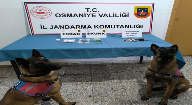 Osmaniye'de uyuşturucu ve kaçakçılık operasyonları