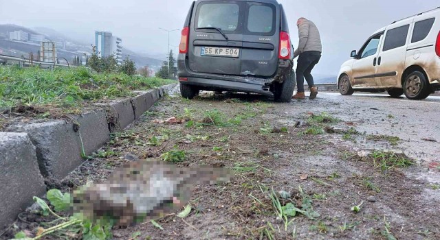 Samsunda trafik kazası