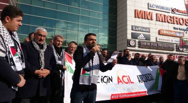 Tatvanda Gazze için ateşkes yürüyüşü