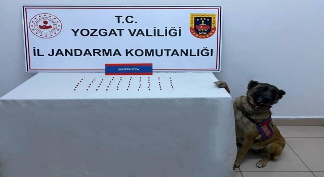 Yozgatta 61 adet uyuşturucu hap ele geçirildi