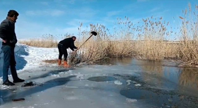 Yüzeyi donmuş nehirde buzu kırıp balık avlıyorlar
