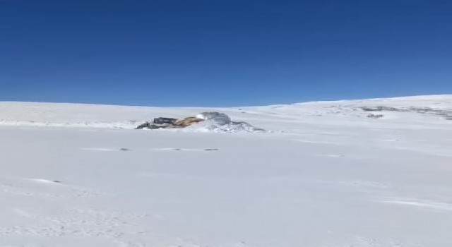 3 metreyi bulan karda yol açma çalışması