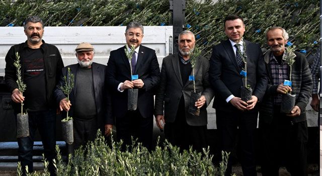 36 Bin Zeytin Fidanı Üreticilerle Buluştu