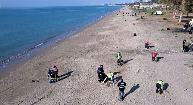 Akdeniz'de Kaplumbağalar için Sahil Temizliği Yapıldı