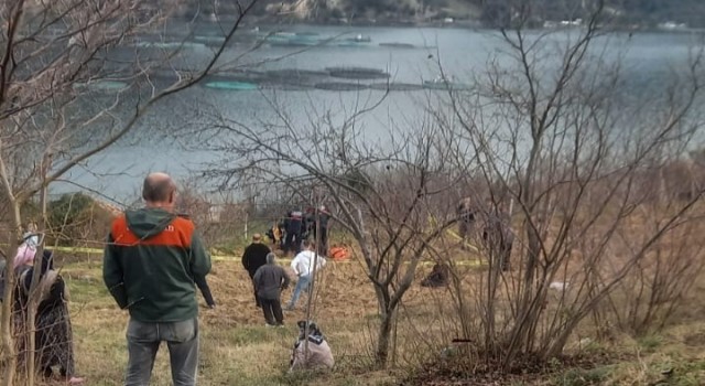 Bafrada bir kişi tarlada ölü bulundu