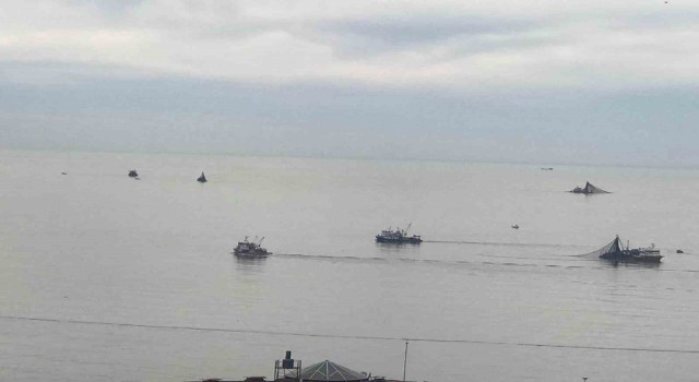 Balıkçı tekneleri Kozlu açıklarına akın etti