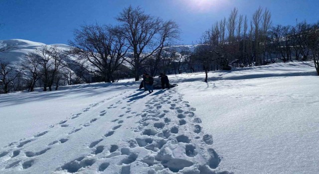 Besicilerin zorlu kış mesaisi sürüyor