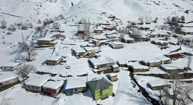 Beytüşşebapın 150 haneli köyünde tek katlı evler kara teslim oldu