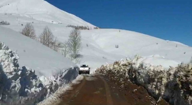 Bingölün Yayladere ilçesi kırsalında kardan kapanan köy yolları açılmaya çalışılıyor