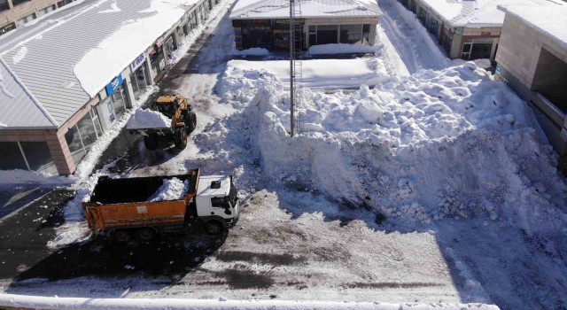 Bitliste kamyonlar kar taşınıyor