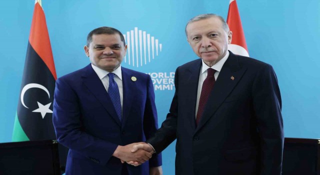 Cumhurbaşkanı Erdoğan, Dibeybeyi kabul etti