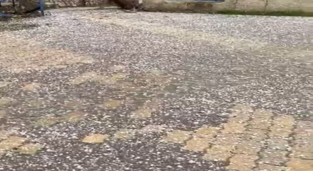 Elazığda misket büyüklüğünde dolu yağdı