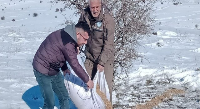 Elazığda yaban hayvanları için doğaya yem bırakıldı