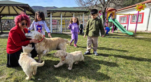 Engelli anne Boncuk ve yavruları okulun maskotu oldu