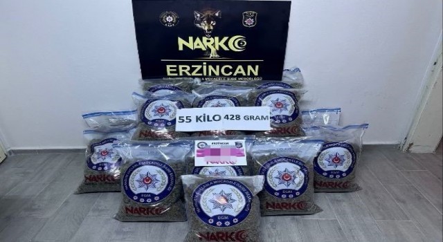 Erzincanda 55 kilo uyuşturucu skunk ele geçirildi