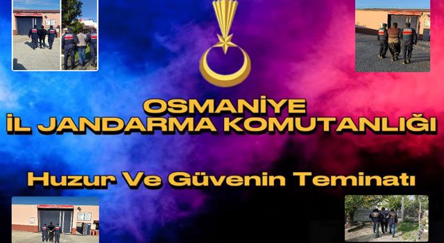Jandarmadan KAFES Operasyonu: 95 Kişi Yakalandı