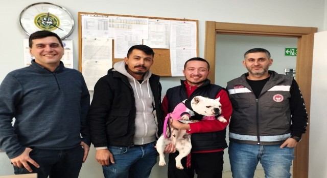 Kırklarelide kaybolan köpek çip sayesinde bulundu