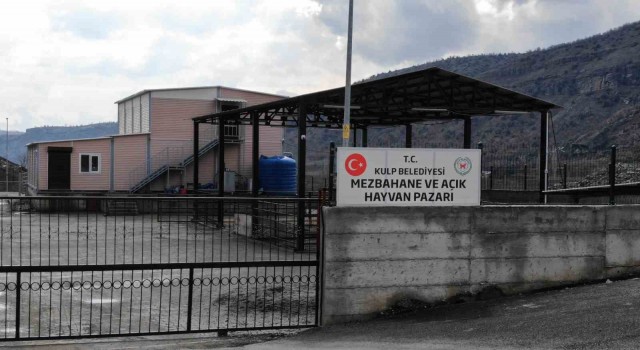 Kulpta açık hayvan pazarı inşa edildi