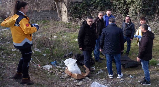 Odun keserken hayatını kaybetti