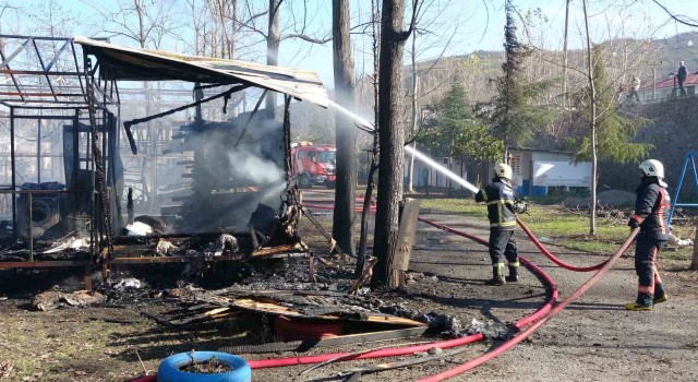 Orduda kamp alanında yangın: 10 yapı küle döndü, 3 çadır hasar gördü