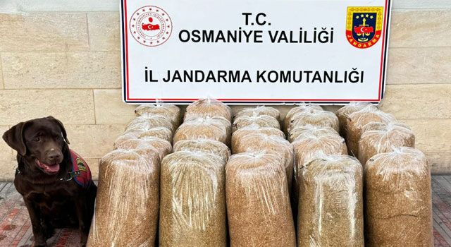 Osmaniye'de Uyuşturucu ve Kaçakçılığa Darbe