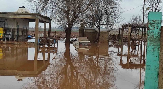 Şanlıurfada kırsal mahalleler sel suları altında kaldı