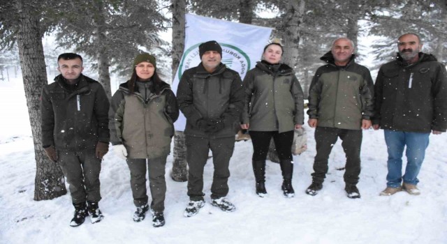 Şırnakta yaban hayvanları unutulmadı, doğaya yem bırakıldı