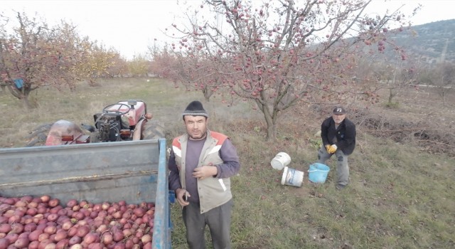 Tarlada çalışan babaya dron şakası gülme krizine soktu