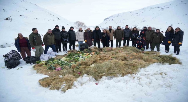 Vali Çakır, yaban hayvanları için karlı dağlara yem bıraktı