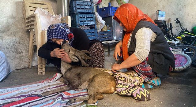 Yaralı Karaca’ya Vatandaşlar Sahip Çıktı