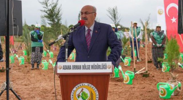 10 Bin Fidan Toprağa Kavuştu