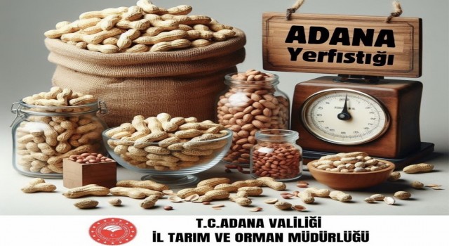 Adana yerfıstığı üretiminde Türkiye birincisi oldu