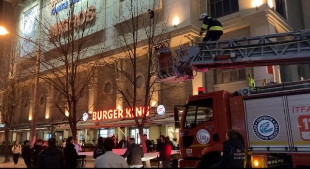 Ağaçta mahsur kalan kediyi itfaiye kurtardı
