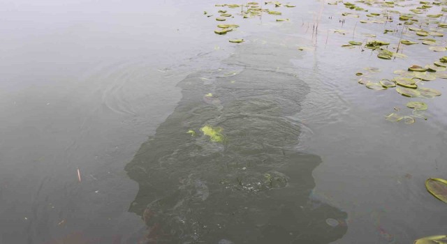 Akaryakıt sızıntısını ekiplere haber vermişti: “Bu yapılan uygulama yeterli değil, diğer kurumların da müdahale etmesi gerekiyor”
