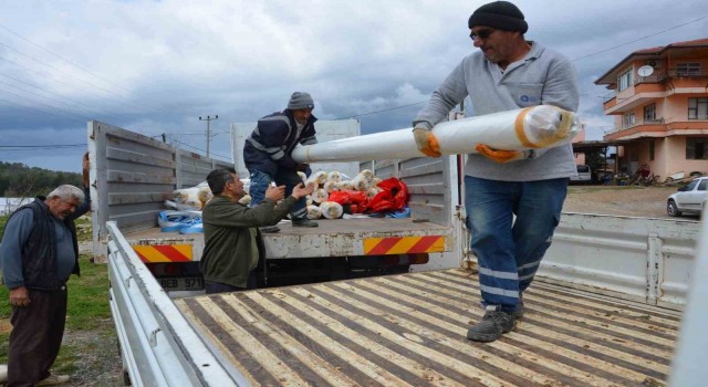 Alanyada afetzede 51 üreticiye sera naylonu desteği
