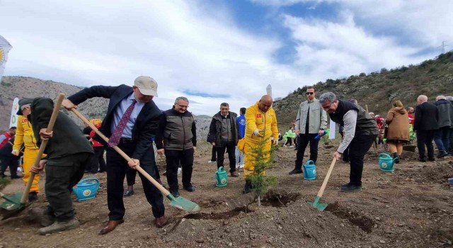 Amasya Orman Bölge Müdürü Özer: “Türkiye en çok ağaçlandırmada Avrupada 1. sırada”