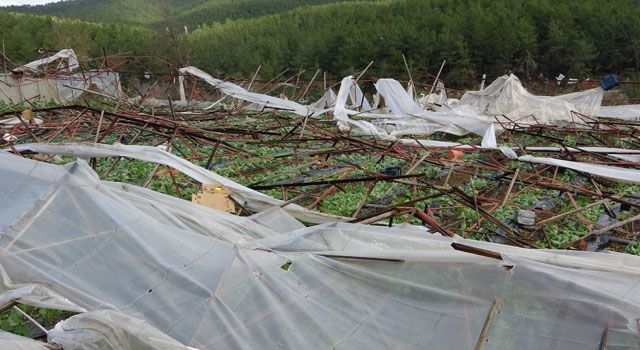 Antalya'da Hortum Felaketi: 250 Dönüm Sera Yıkıldı, 2 Yaralı