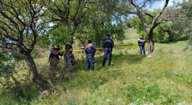 Aydında bir kişi ağaçta asılı halde bulundu