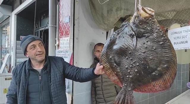 Balıkçı ağına takılan 7 kg ağırlığındaki kalkan balığı 7 bin TLden anında alıcı bulundu