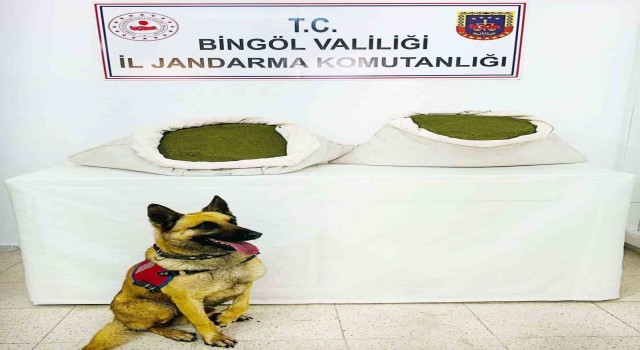 Bingöl'de 45 kilo esrar ele geçirildi