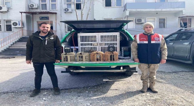 Bitliste keklik avlayan 4 kişiye 106 bin 135 lira para cezası