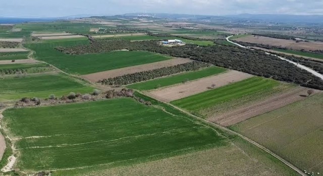 Çanakkale Savaşlarından kalma yeni bir şehitlik alanı tespit edildi