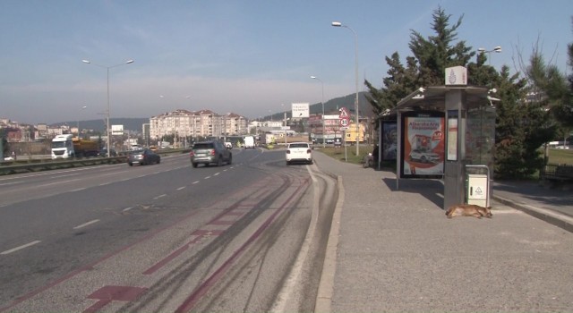 Çekmeköyde üniversite harcını yatırmaya giden genç kıza otomobil çarptı