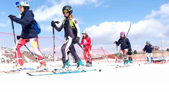 Dağ Kayağı Gençler ve Büyükler Türkiye Şampiyonası Erzincanda düzenlenecek