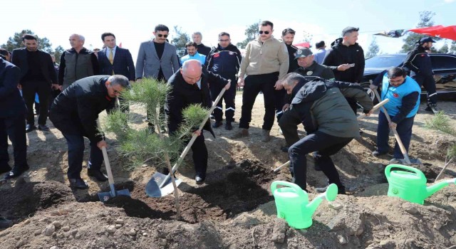 Denizlide 14 lokasyonda 6 bin 100 adet fidan toprakla buluştu